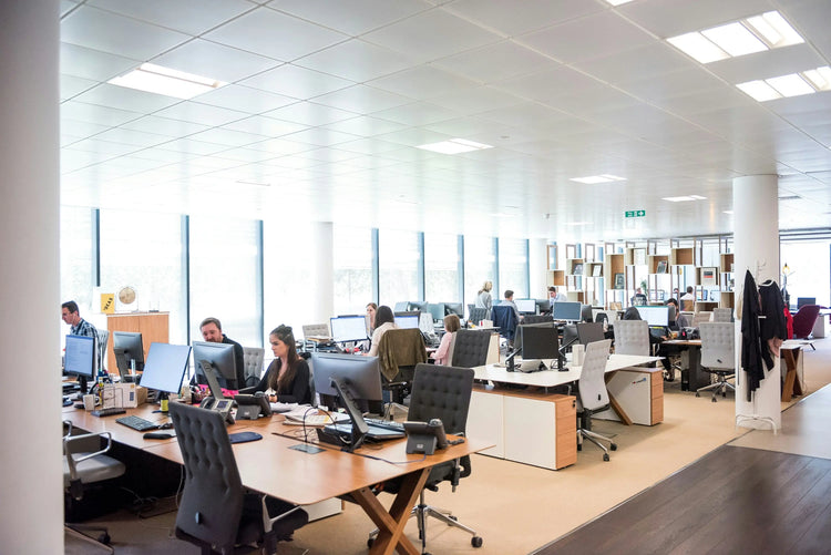 salariés dans bureau qui travaillent